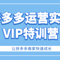 ƴ�����Ӫʵ��VIP��ѵӪ����ƴ����̼ҿ��ٳɳ�����ֵ3180Ԫ��