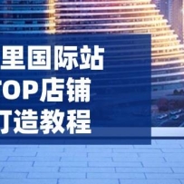 �������վTOP���̴���̳̣�����ƽ̨���߽ף������Ӫ���⣬����ѯ��