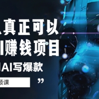 ��ͨ��������������AI׬Ǯ��Ŀ-�������AIд���5����Ƶ�Σ�