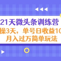 21��΢ͷ��ѵ��Ӫ��ʵ��3�죬����������100+���������淨