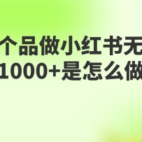��С�����޻�Դ�������Ʒ����1000����������ģ���ķ����ѧ��������������