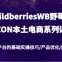 wildberriesWBҰݮ/OZON��������ϵ�пΣ�����˹ƽ̨�Ļ���ʵ�ټ���/��Ʒ��