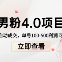 �з�4.0��Ŀ��˽����� �Զ��ɽ� ����100-500���� ����������1.0+2.0+3.0��
