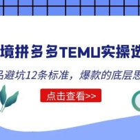 �羳ƴ���TEMUʵ��ѡƷ��Ӫ������ѡƷ�ܿ�12����׼������ĵײ�˼·��
