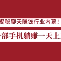 ��������׬Ǯ��ҵ��Ļ��һ���ֻ���ôһ����׬����Ӷ�𣿴���ȫ�Զ�׬Ǯϵͳ