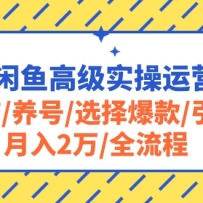 2024����߼�ʵ����Ӫ�γ̣�����/����/ѡ�񱬿�/����/����2��/ȫ����
