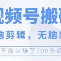 ��Ƶ�����԰�ש����������Լ������Ծ��ܸɣ����챬��׬300+Ӷ��
