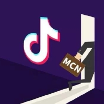 ����MCN�����γ̣������̼��ؿͣ��������˸��ñ��ֵĿγ̣���0����������IP