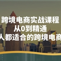 �羳����ʵս�γ̣���0����ͨ�����˶��ʺϵĿ羳���̿Σ�14�ڿΣ�