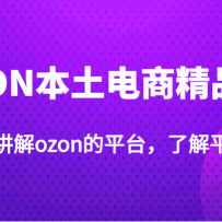 OZON�������̾�Ʒ�Σ�ϵͳ�Ľ���ozon��ƽ̨���˽�ƽ̨���ʣ���ֵ3999Ԫ��