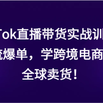 TikTokֱ������ʵսѵ��Ӫ������������ѧ�羳���̣���ȫ��������