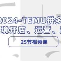 2024TEMUƴ���羳���ꡢ��Ӫ��ѡƷ��25����Ƶ�Σ�