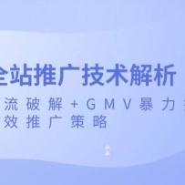 ���ȫվ�ƹ㼼�����������ٶ����ƽ�+GMV���������������Ч�ƹ����