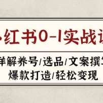 С����0-1ʵս��(2023-2025)���������/ѡƷ/�İ�׫д/�������/���ɱ���