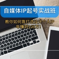 ��ý��IP���ʵս�ࣺ������ο�������Ƹ���IP����׬��100��