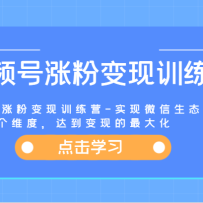 ��Ƶ���Ƿ۱���ѵ��Ӫ-ʵ��΢����̬˽����Ӫ��3��ά�ȣ��ﵽ���ֵ����