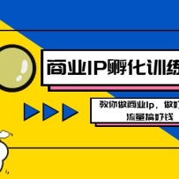 ��ҵIP����ѵ��Ӫ�°棬��������ҵIp���������裬�������Ǯ