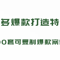 ƴ��౬�������ѵӪ��199Ԫ*100�׿ɸ��Ʊ����������������)