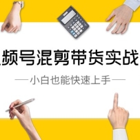 ��Ƶ�Ż������ʵս�Σ�С��Ҳ�ܿ������֣�10�ڿΣ�