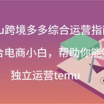 temu�羳����ۺ���Ӫָ��-�ʺϵ���С�ף��������ܹ�������Ӫtemu(44��)