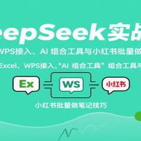 DeepSeekʵս�Σ�Excel��WPS���롢AI ��Ϲ�����С�����������ʼǼ���