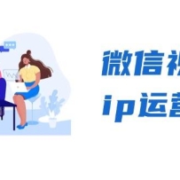 ΢����Ƶ��ip��Ӫ�ࣺ��������+CEOֱ��+��Ӣ������������Ƶ�ű����ؾ�