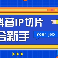����IP��Ƭ�����淨���򵥲����ʺ�����С�ף����˿Ҳ���Դ���׬Ǯ��׬ǧԪ