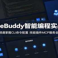 CodeBuddy���ܱ��ʵս�Σ������ŵ���ͨ����CLI�������ã����ܲ��MCP����
