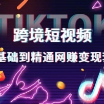 �羳����ƵTIKTOK 0��������ͨ��׬�����׿Σ��羳����Ƶ����վ�������ּ���