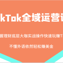 TikTokȫ����Ӫ�Σ���ʵս����������׬TikTok������������Ȼ����׬����