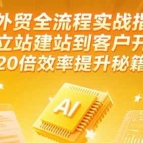 AI��óȫ����ʵսָ�ϣ�����վ��վ���ͻ�������20��Ч�������ؼ�(����6��)