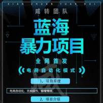 �����Զ�������������Ŀ�����跢Ȧ�������������ۺ����Բ���������׬Ǯ��