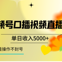 ��Ƶ�ſڲ���Ƶֱ���淨��������5000+��һ�ֿ��Ե��ų����������淨