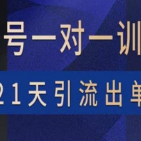 ��Ƶ��ѵ��Ӫ���������Ƿۣ�ֱ������Ϸ���Ĵ�����·���21����������