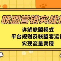 ����Ӫ��ʵսָ�ϣ��������ģʽ��ƽ̨�������˿�������ʵ����������