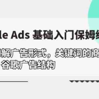 Google Ads �������ţ�ϵͳ�������ʽ/�ؼ��ʵ���ҵ��֪/�ȸ���ṹ
