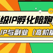 ����IP�������ܿΣ�����IP�븱ҵ���߽װ棩41�ڿ�