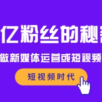 һ�ڷ�˿�����ܣ��ʺ�������ý����Ӫ�����Ƶ�������