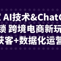 ���� AI����&ChatGPT���� �羳�������淨���������+���ݻ���Ӫ˼ά