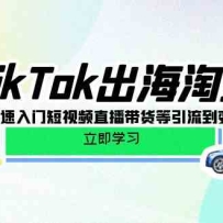 TikTok�����Խ�����0-1�������Ŷ���Ƶֱ�����������������ֵ�֪ʶ