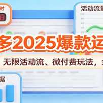 ƴ���2025������Ӫ�Σ���ɱ��١����޻����΢�����淨��ȫʵ�ٸɻ�