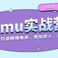 2024Temu����׬����ʵսӪ�����㿪ʼ����羳�����������루124G��