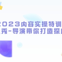 2023����ʵ����ѵӪ��������-���ݴ������̽��IP����ˮӡ��