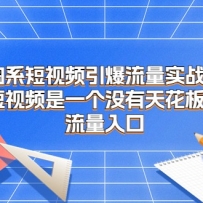 ��ϵ����Ƶ��������ʵս�࣬����Ƶ��һ��û���컨����������