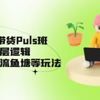 ��Ƶ�š�����Puls�࣬��Ƶ�ŵײ��߼��������Ȼ���������淨