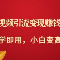 ���ֶ���Ƶ��������׬Ǯȫ���ԣ���ѧ���ã�С�ױ���֣���ֵ398Ԫ��