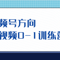 ��Ƶ�ŷ��򣬶���Ƶ0-1ѵ��Ӫ��10��ֱ���γ̣�