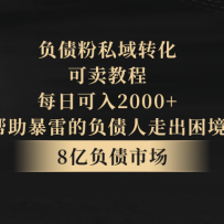 ��ծ��˽��ת���������̳̣�ÿ�տ���2000+�����辭��